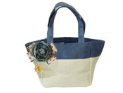 �ɥåȥ�ܥ��ե��������塦�֥롼