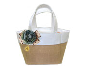 �ɥåȥ�ܥ��ե��������塦�֥롼