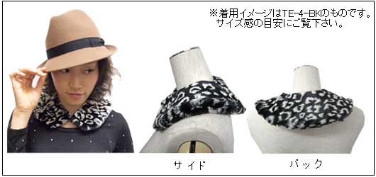 ���ѥ��᡼��